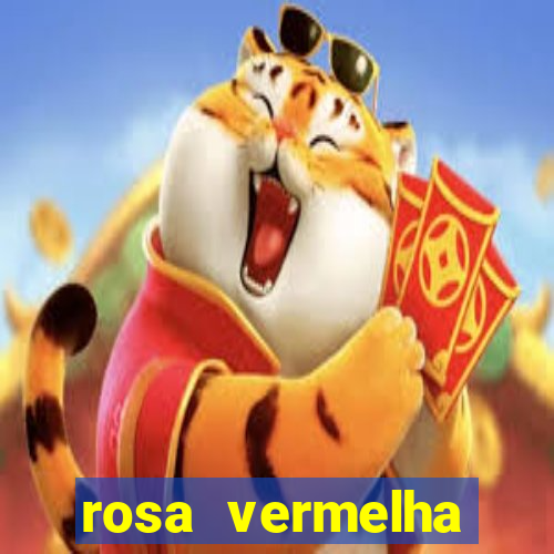 rosa vermelha (letra e cifra)